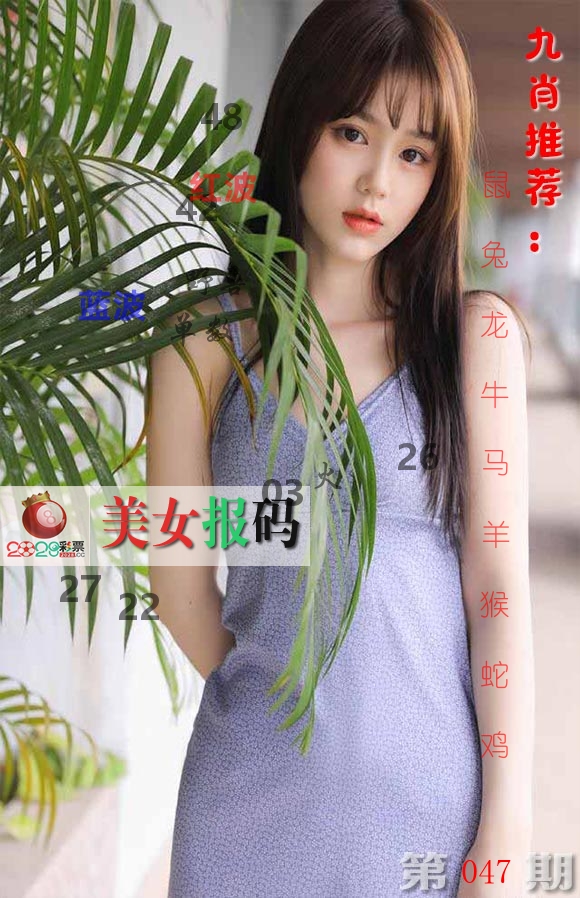 美女报码 第47期