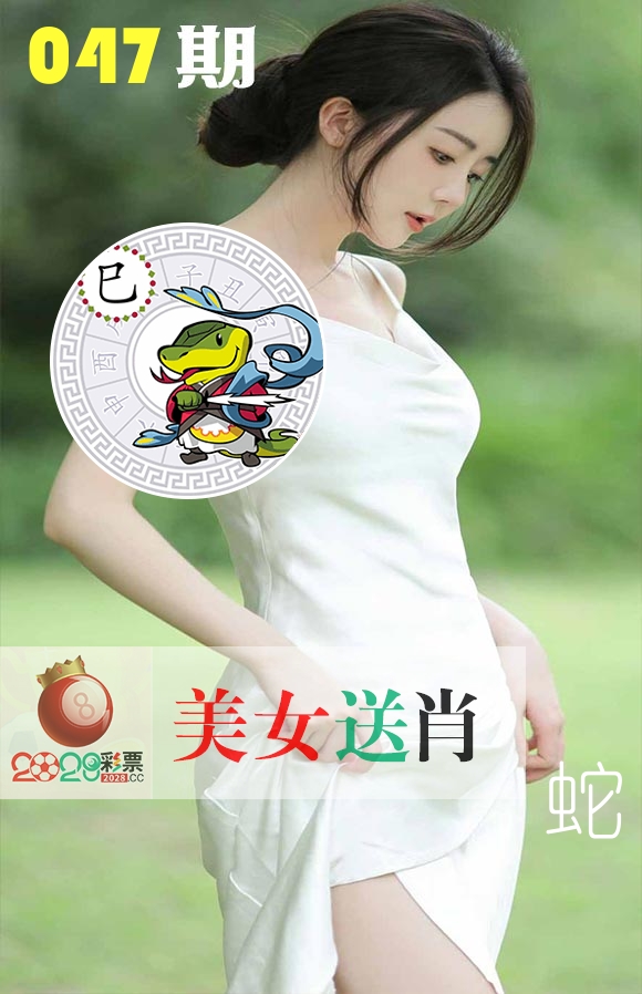 美女送肖 第47期
