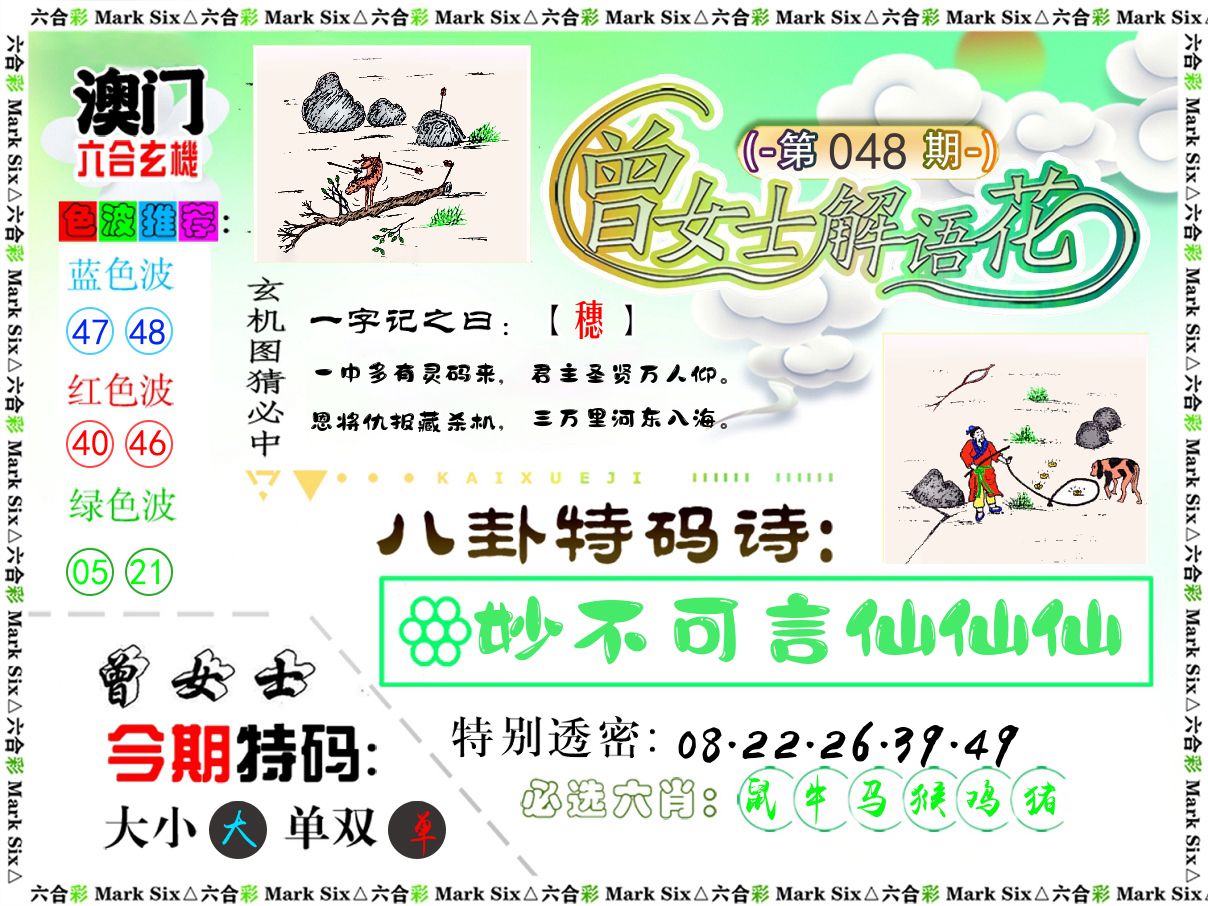 曾女士解语花 第48期