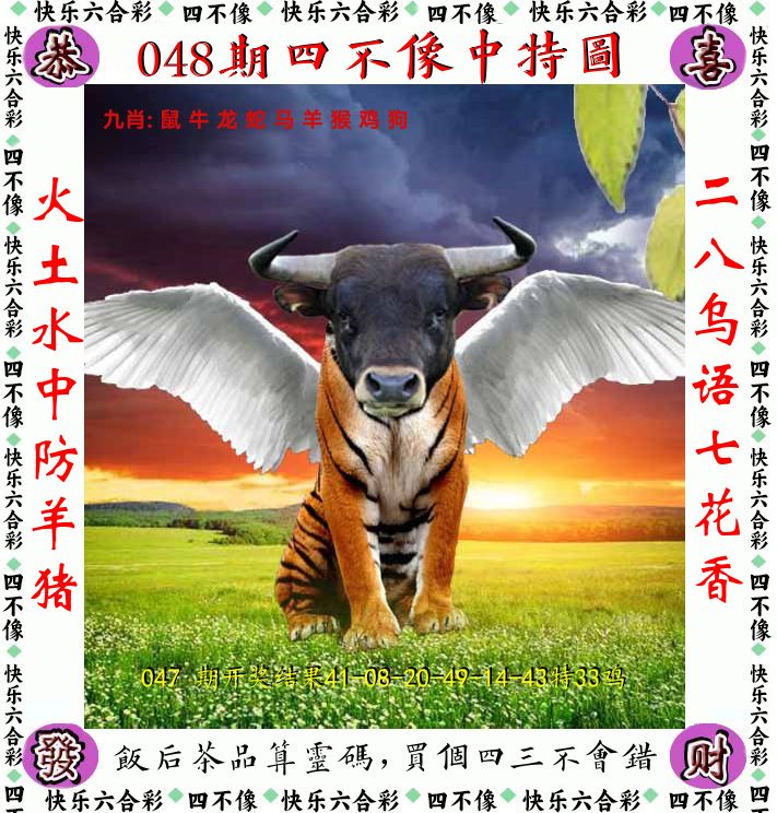四不像 第48期
