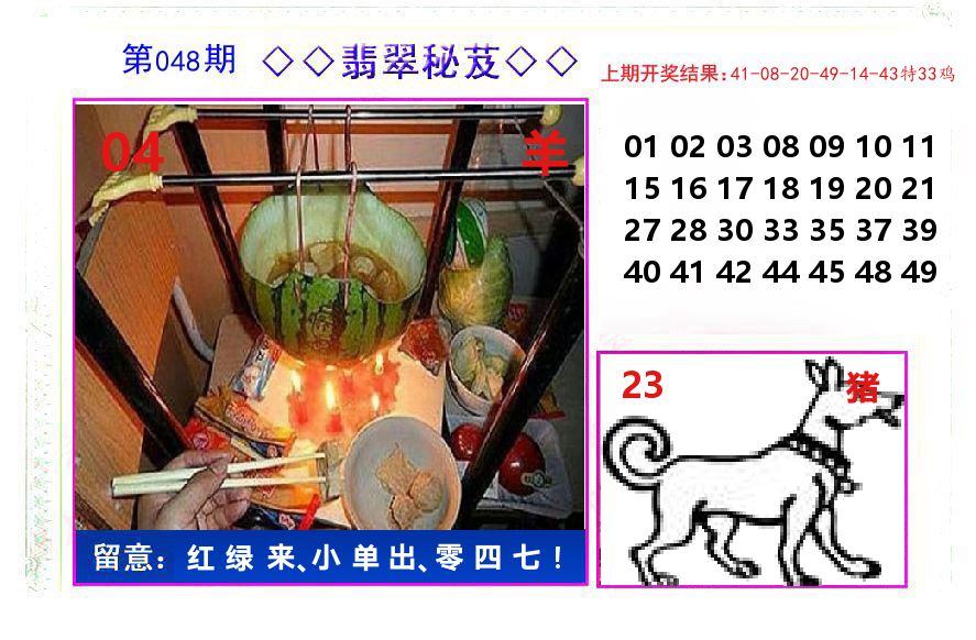 翡翠秘芨 第48期