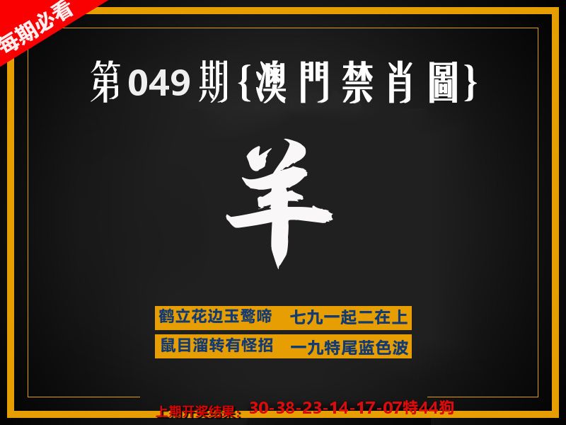 茶湾港料《彩》 第49期