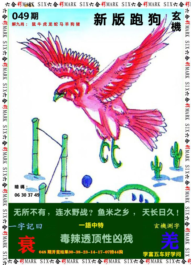 悟入其图 第49期