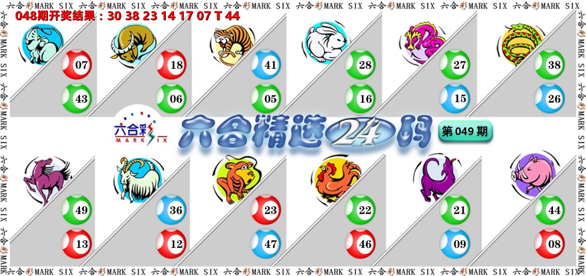 六合精选24码 第49期
