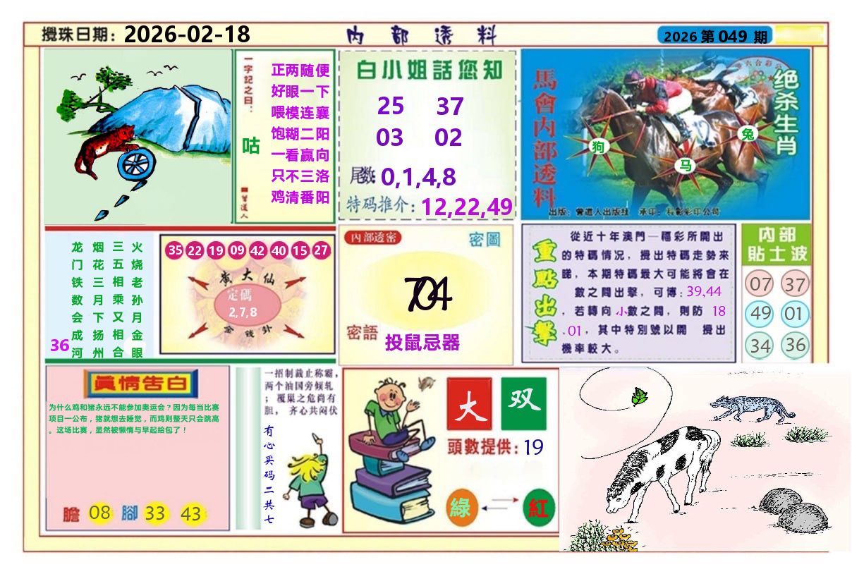 澳门内部透料A 第49期