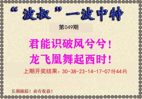 波叔中特 第49期