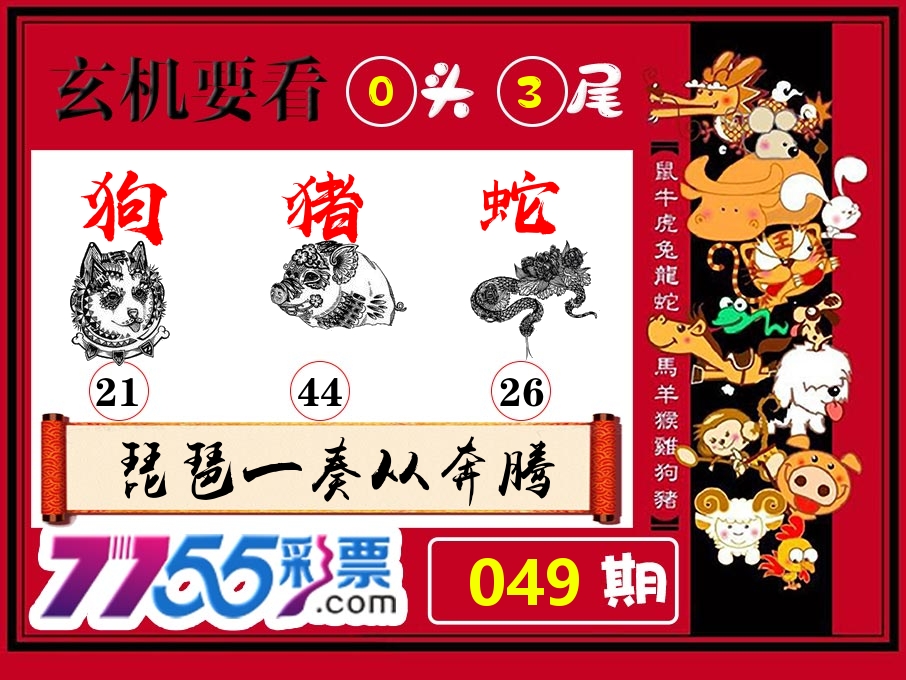 玄机要看 第49期