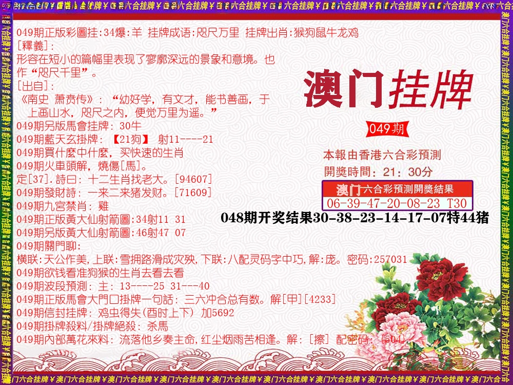 澳门挂牌 第49期