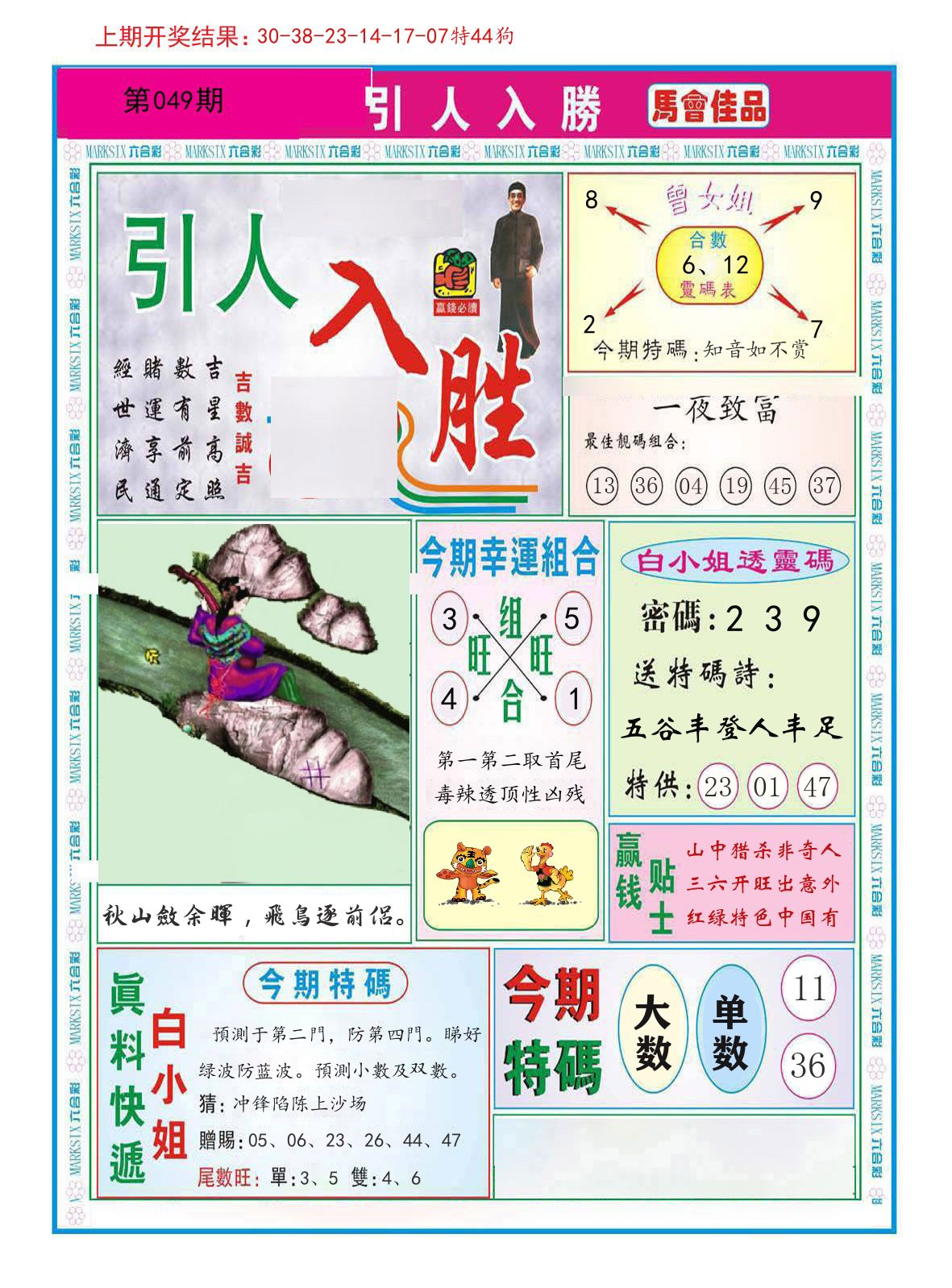引人入胜 第49期