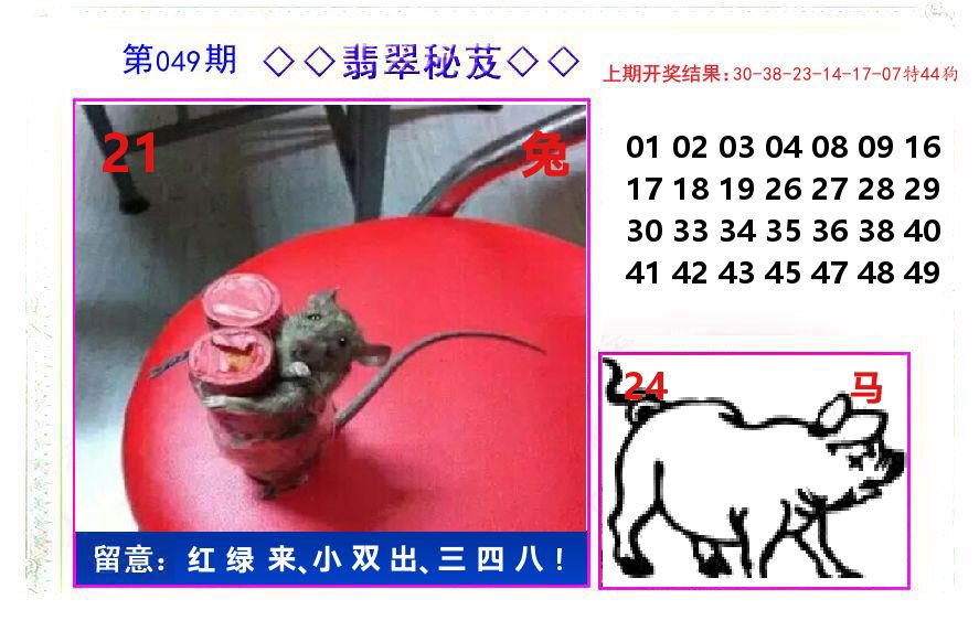 翡翠秘芨 第49期