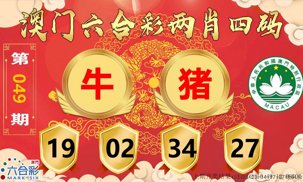 澳门两肖四码 第49期