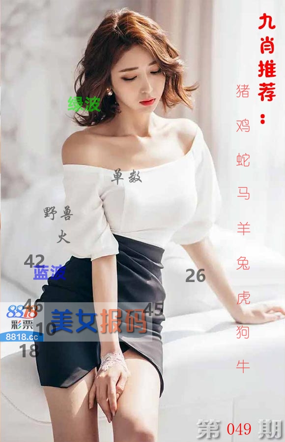 美女报码 第49期