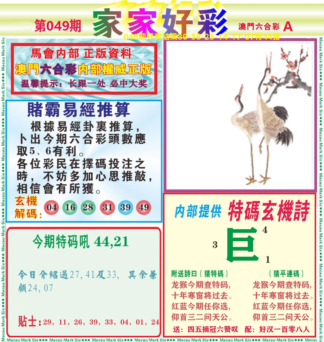 家家好彩A 第49期