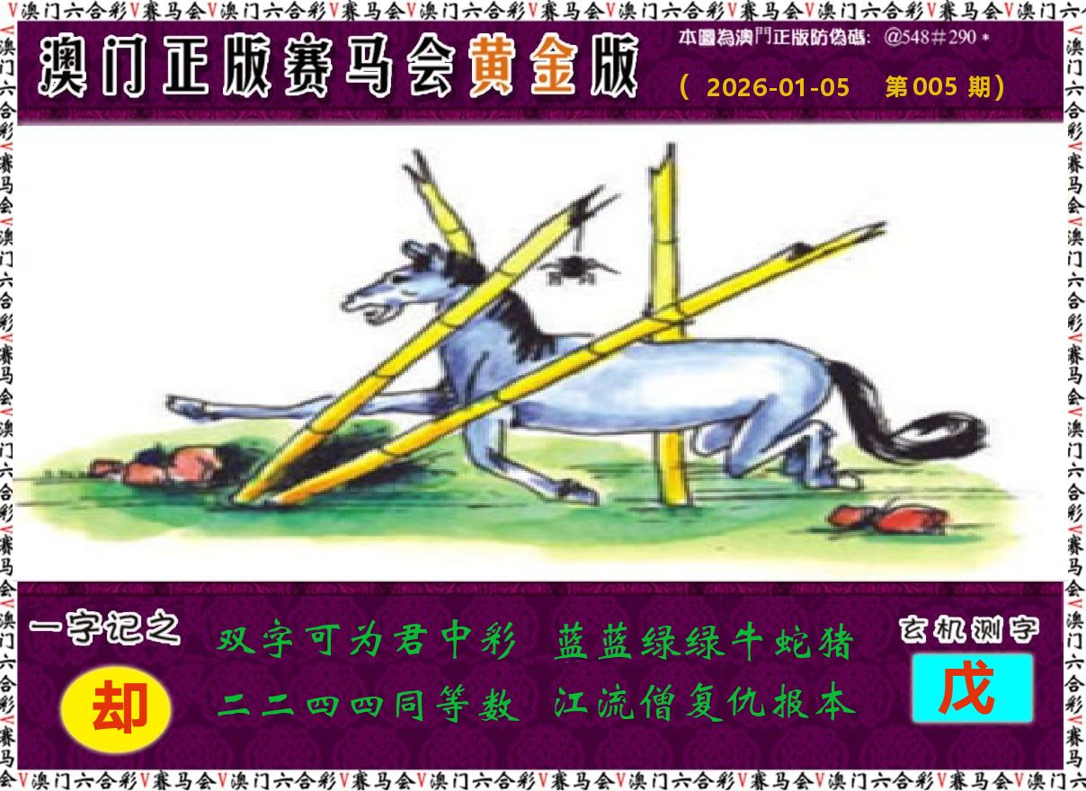 赛马会黄金版 第5期