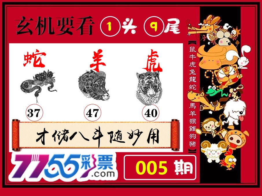玄机要看 第5期