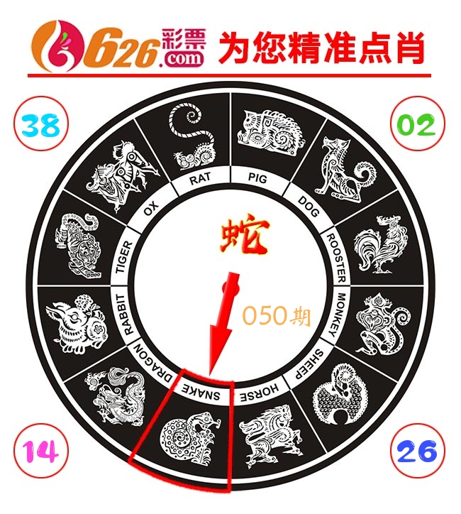精准点肖 第50期