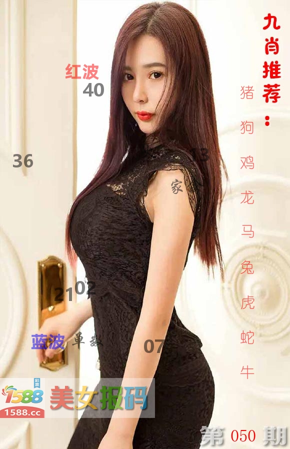 美女报码 第50期