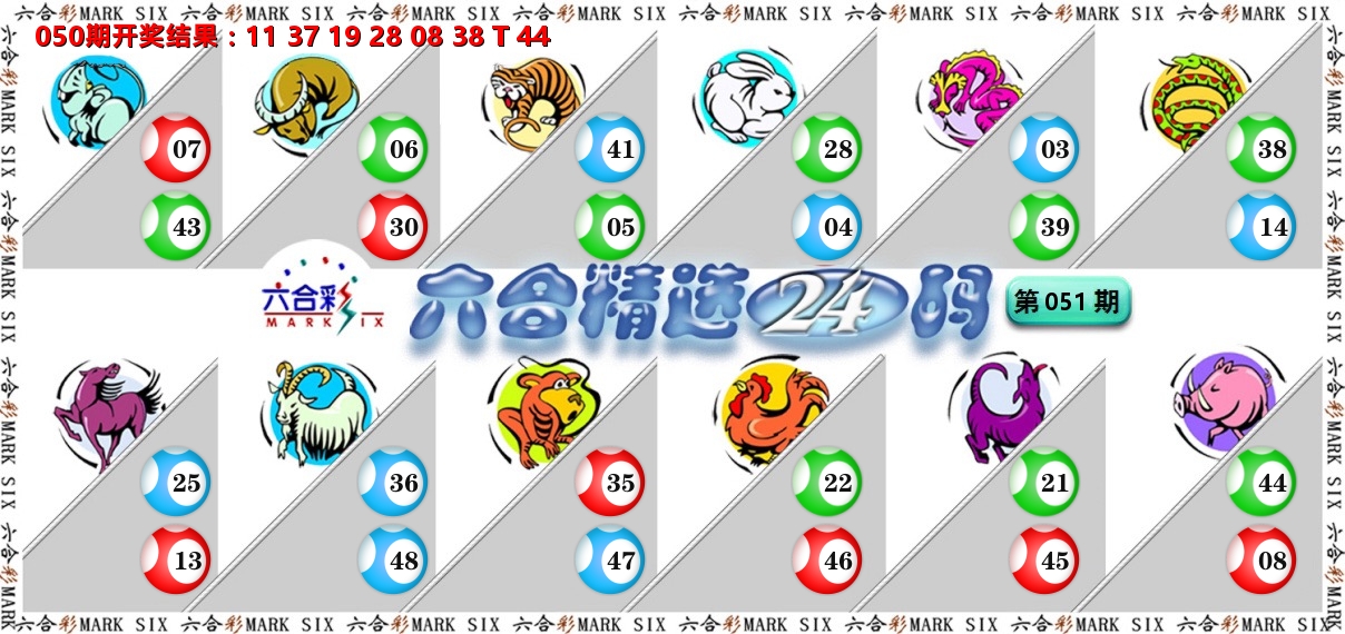 六合精选24码 第51期