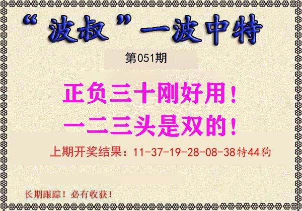 波叔中特 第51期