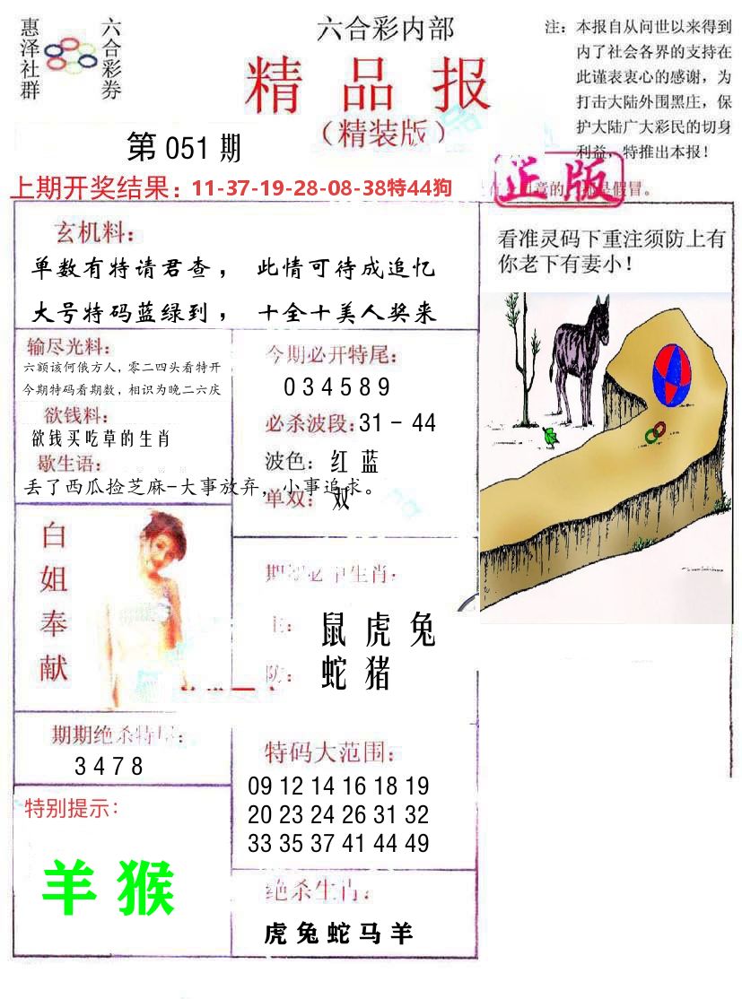 精品报 第51期