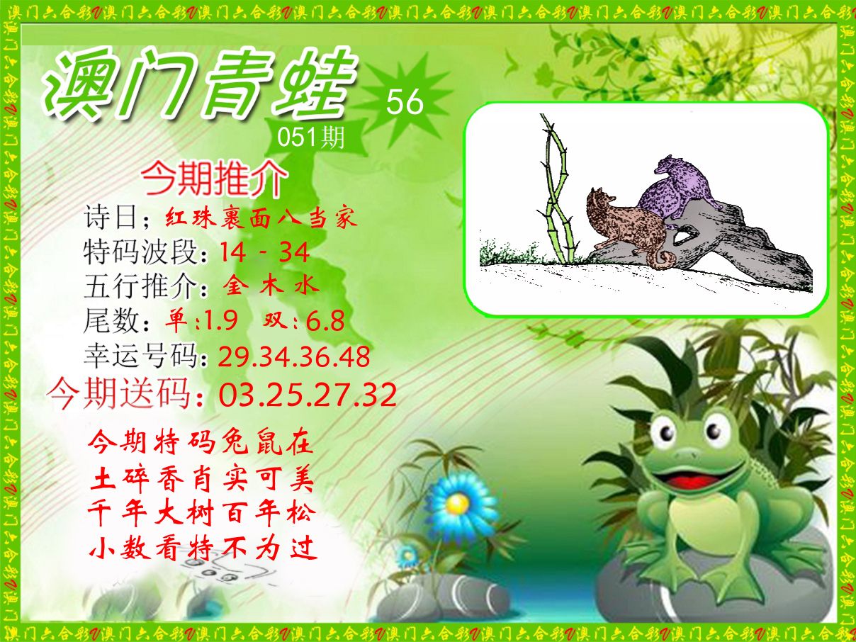 青蛙系列56 第51期