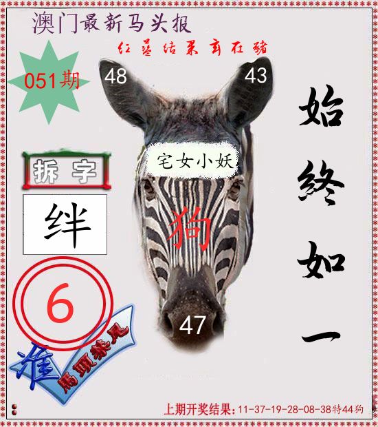 马头报 第51期