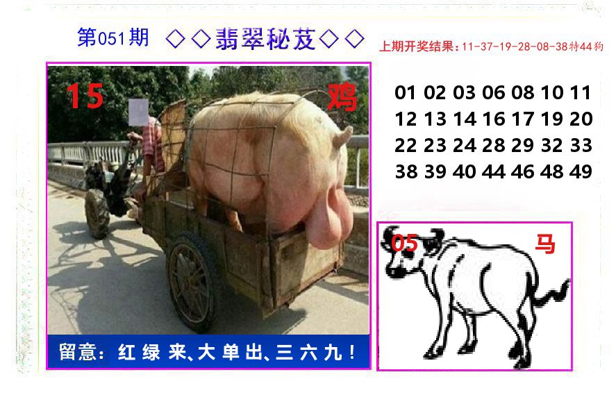 翡翠秘芨 第51期