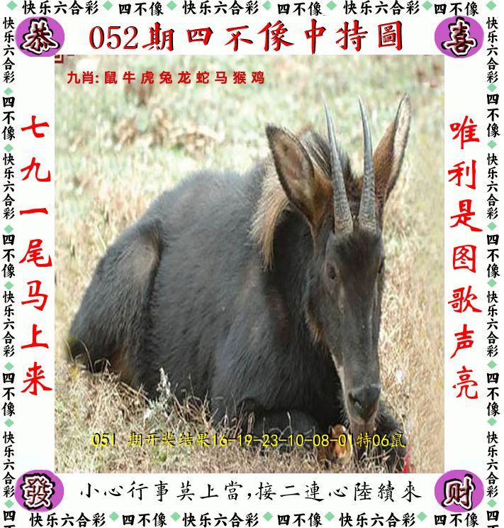 四不像 第52期