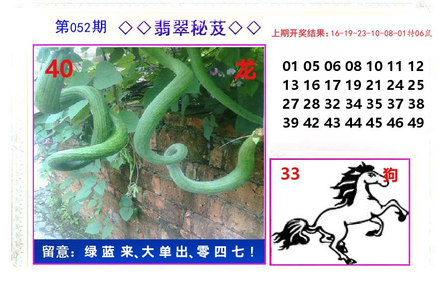 翡翠秘芨 第52期