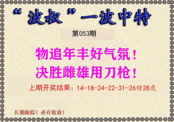 波叔中特 第53期
