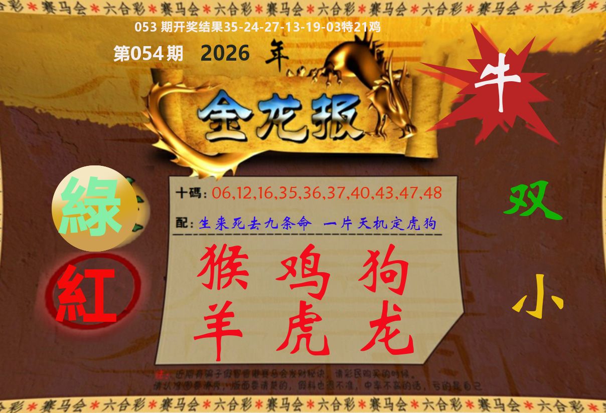 金龙报 第54期