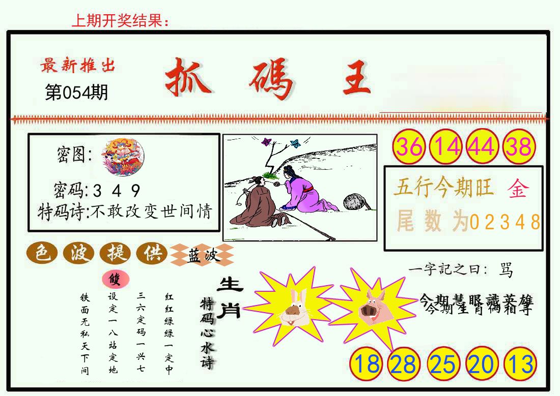 最新抓码王 第54期