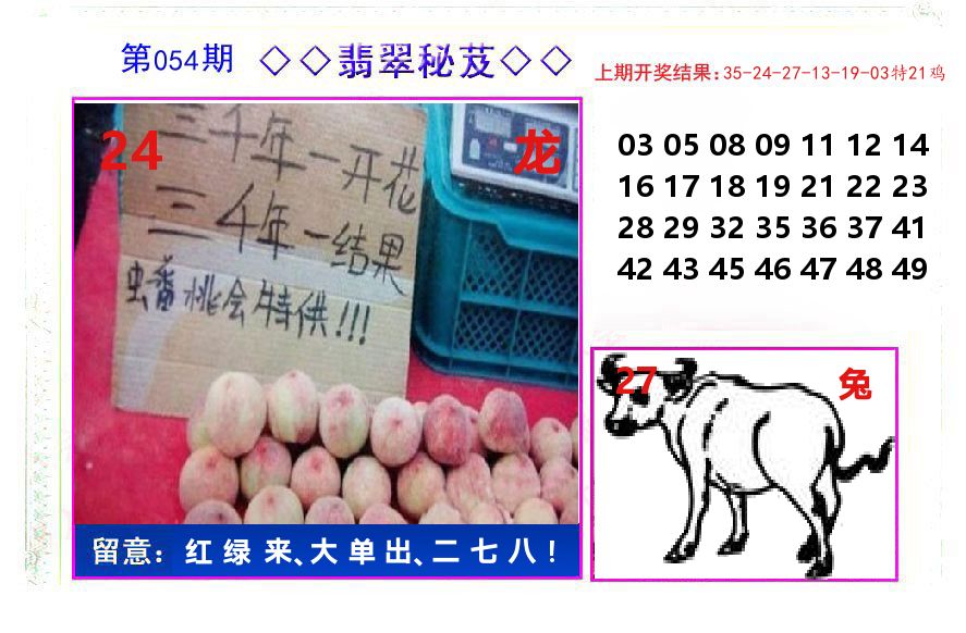 翡翠秘芨 第54期