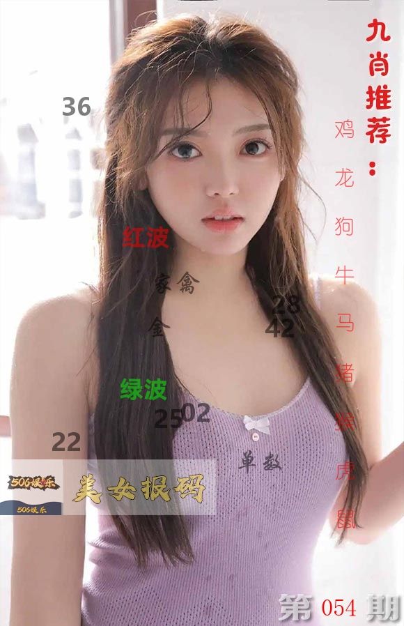 美女报码 第54期