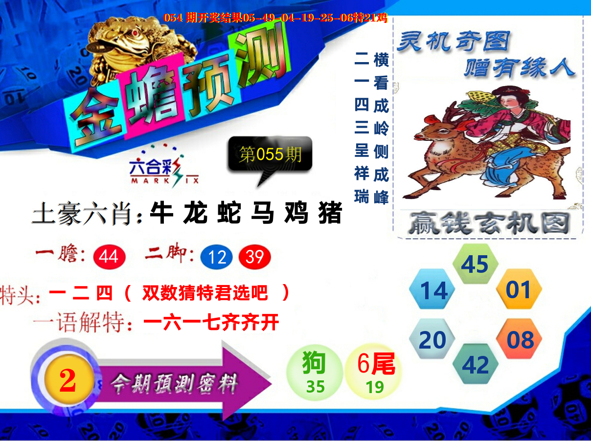 金蟾预测 第55期
