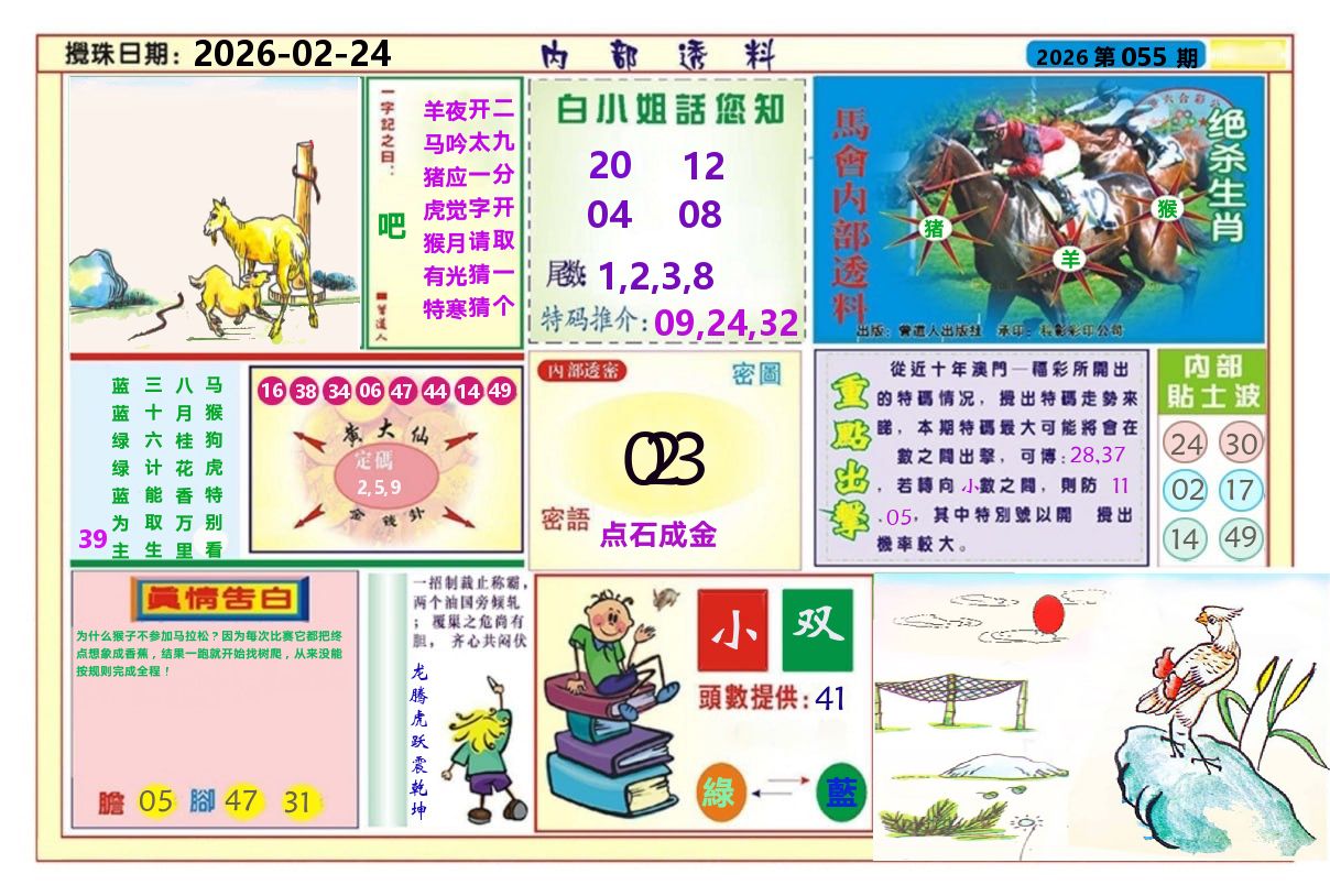 澳门内部透料A 第55期