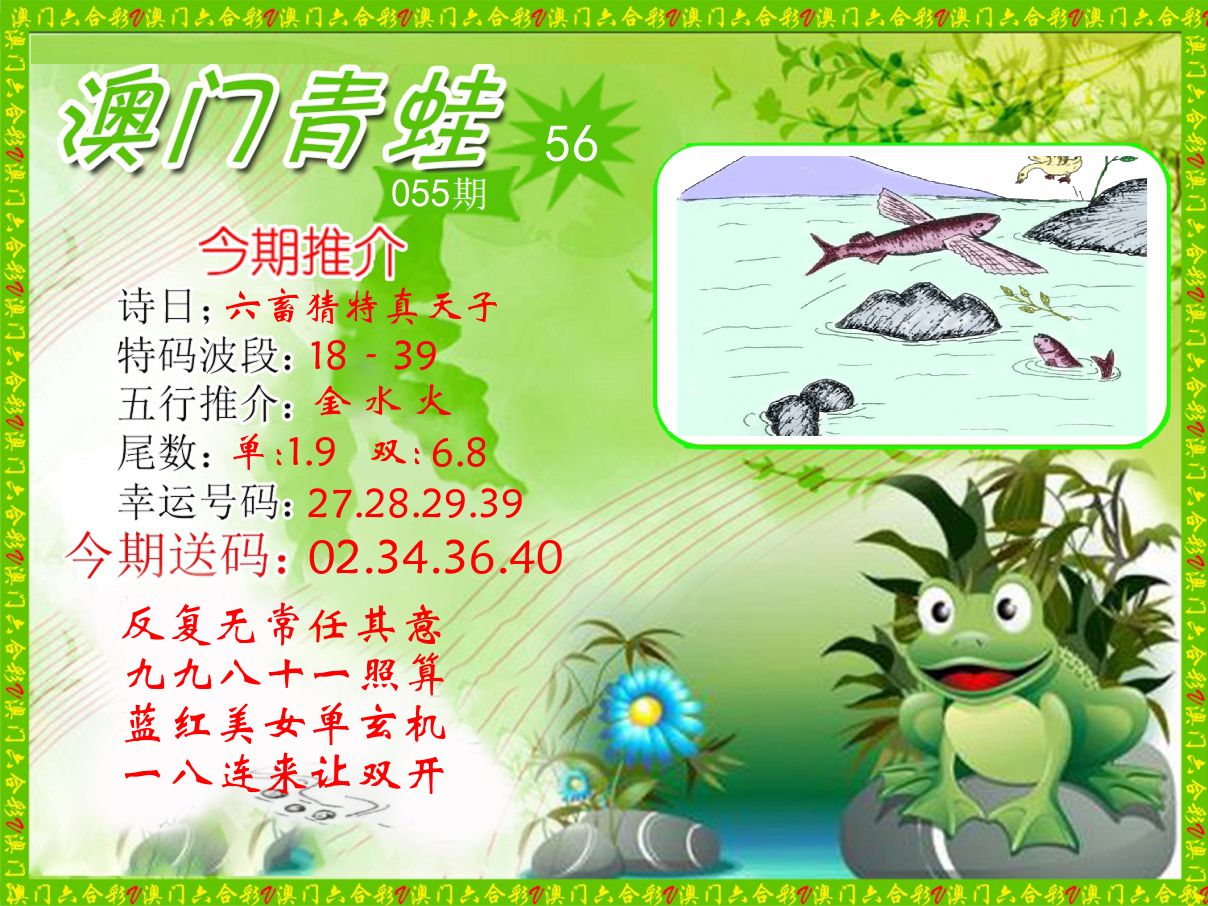 青蛙系列56 第55期