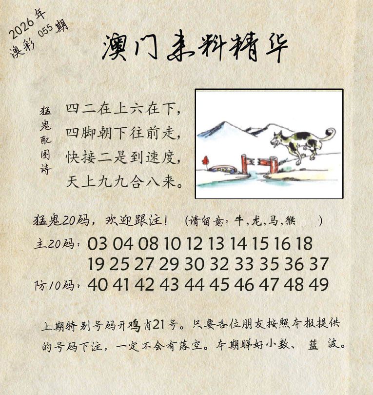 精华来料 第55期