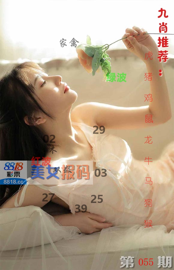 美女报码 第55期