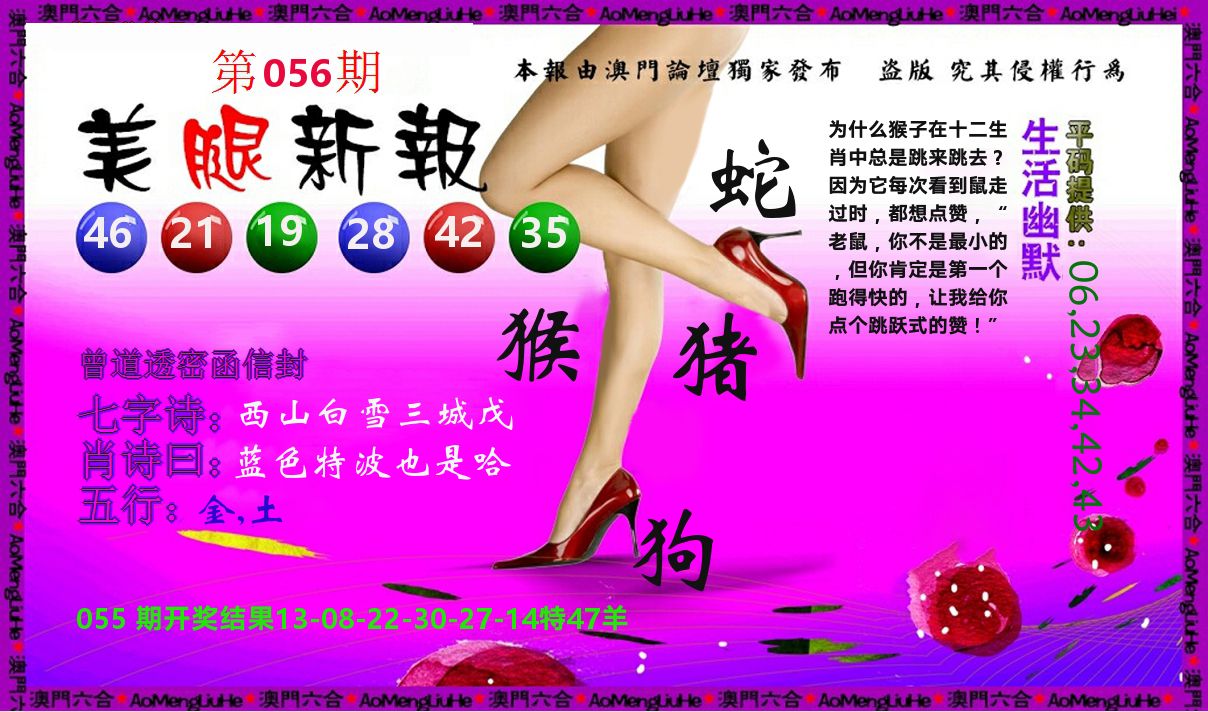 美腿新报 第56期