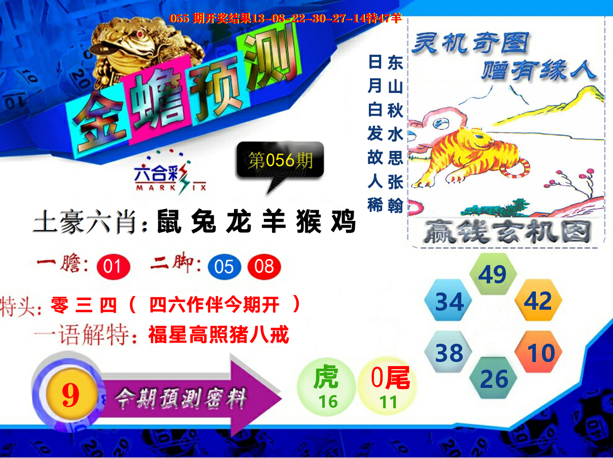金蟾预测 第56期