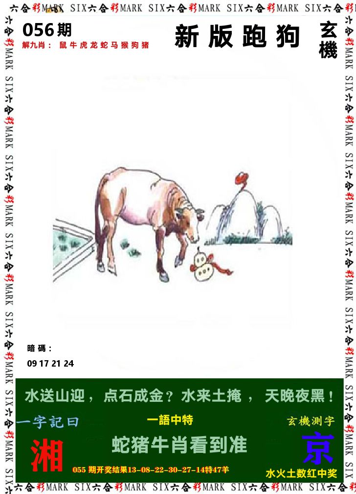 悟入其图 第56期