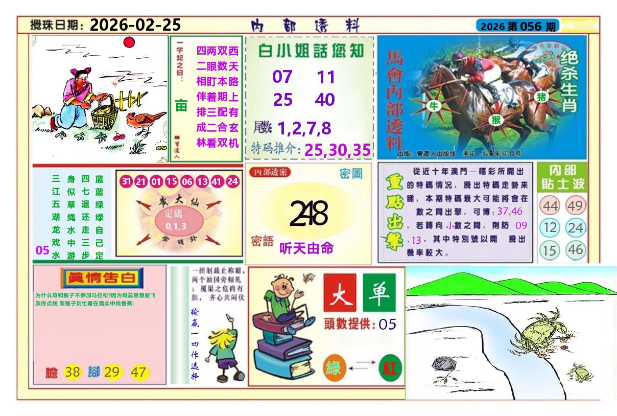 澳门内部透料A 第56期