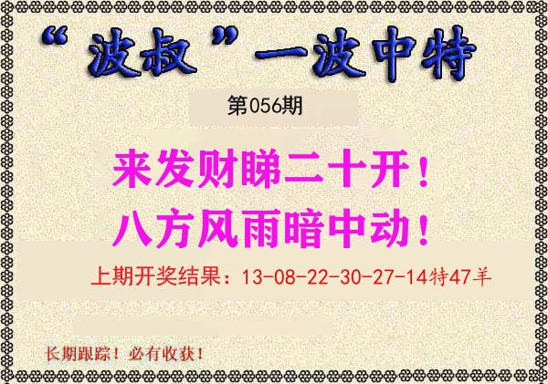 波叔中特 第56期