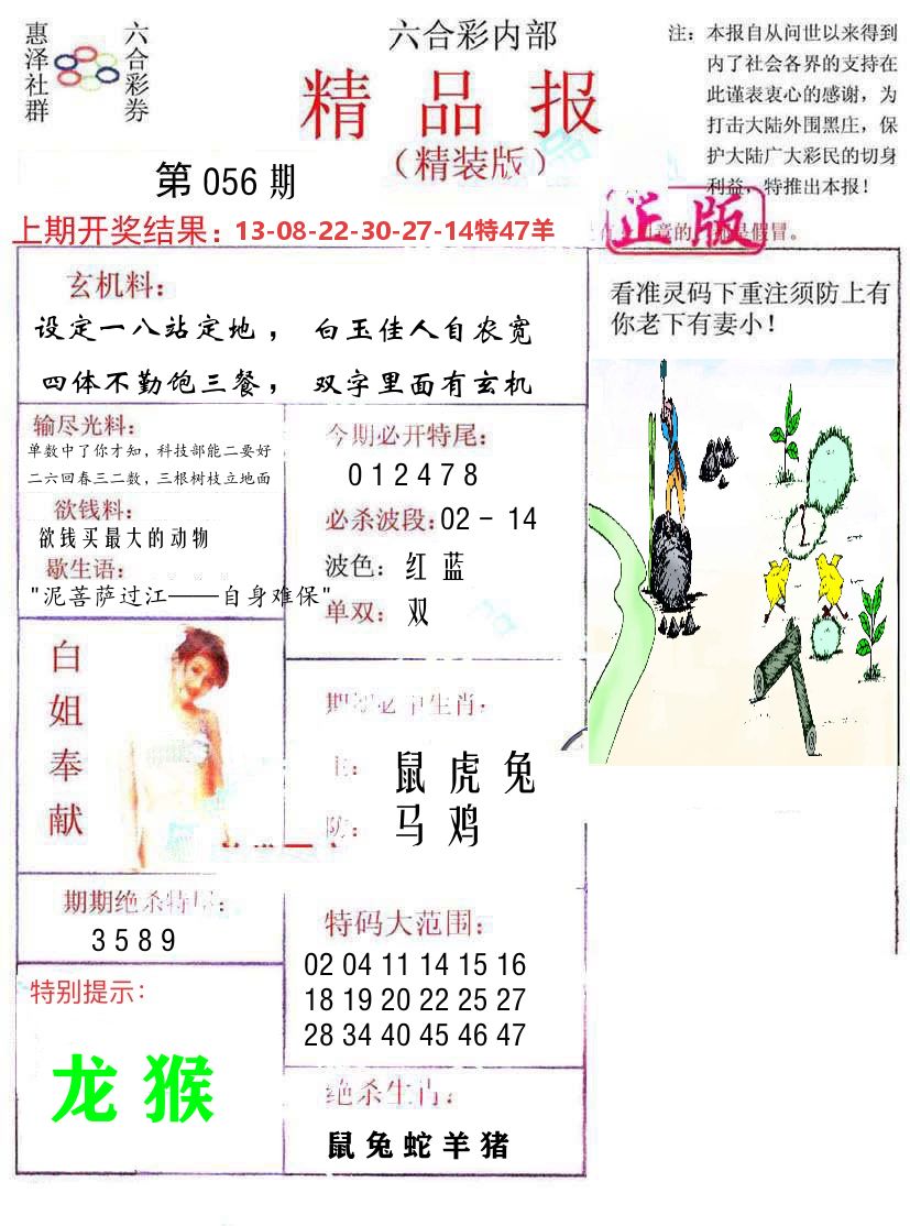精品报 第56期