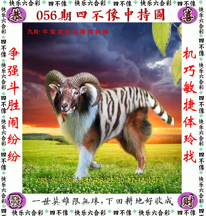 四不像 第56期