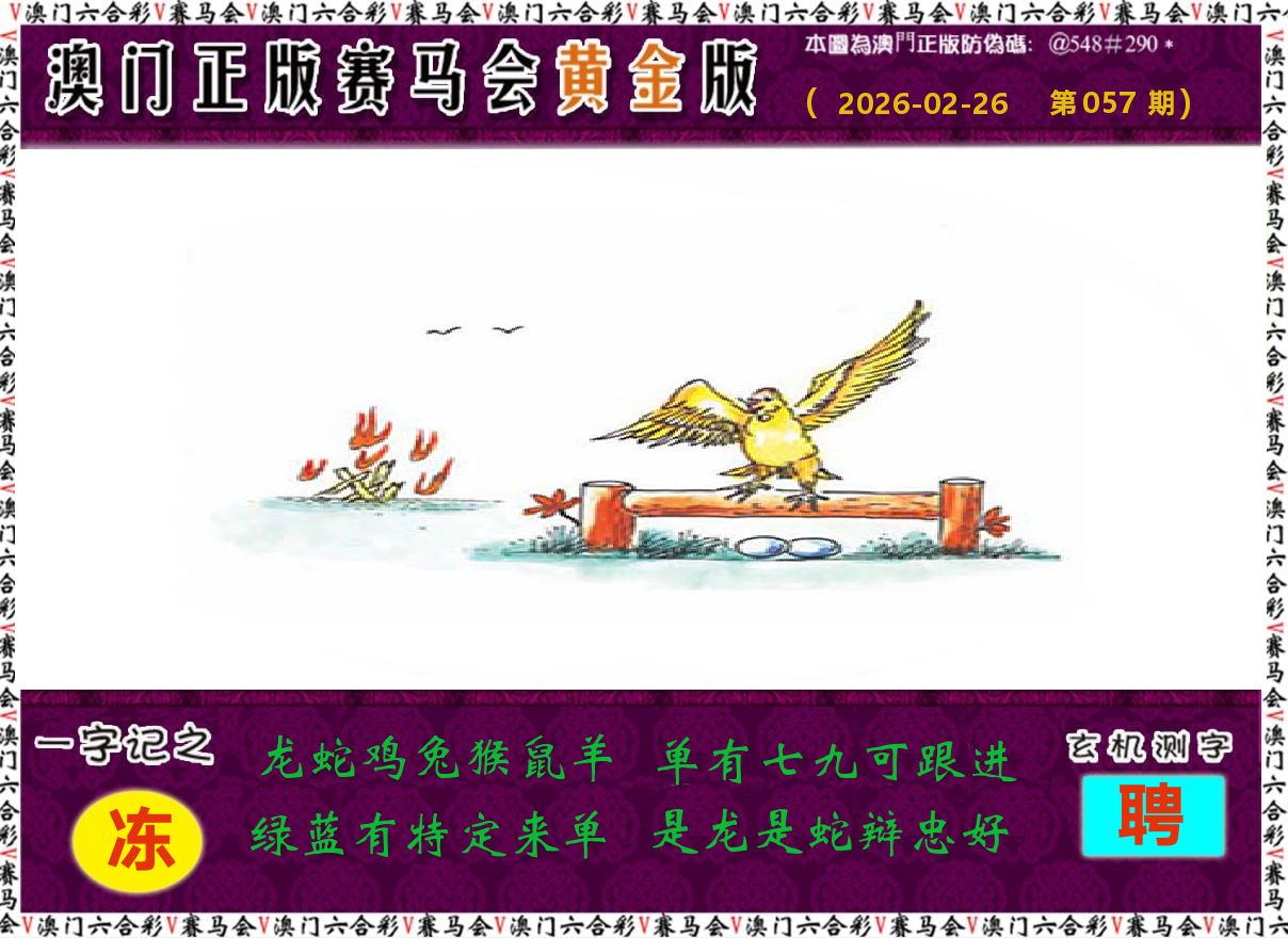 赛马会黄金版 第57期