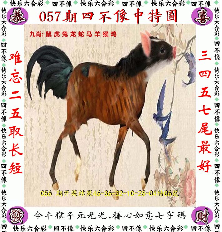 四不像 第57期