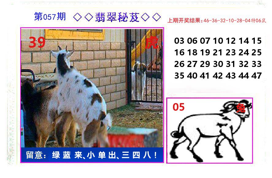翡翠秘芨 第57期