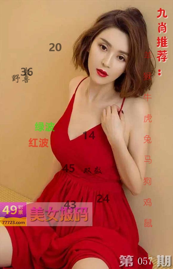 美女报码 第57期